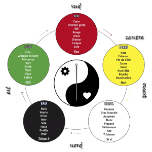 Naturopathie en Février ethel brooks 5 elements saisons organes