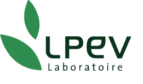 logo lpev